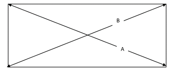 Picture5